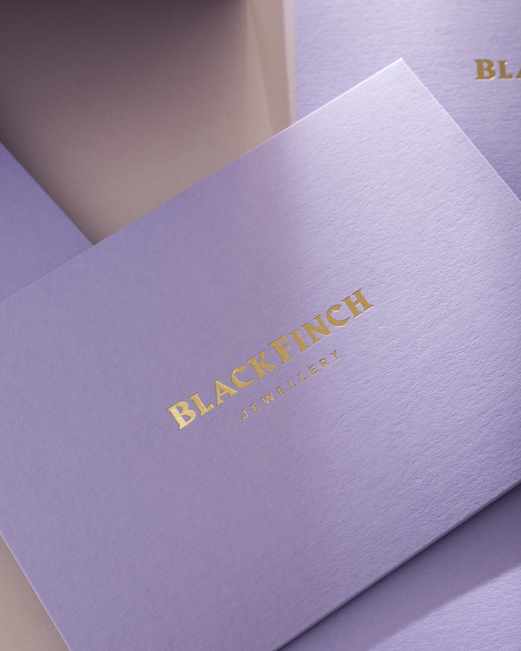 Blackfinch-Aerogram-Envelopes-13